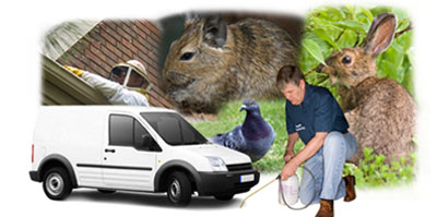 Bishopstoke local van